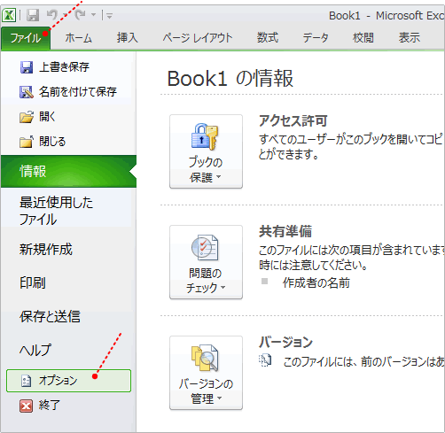 オプションの表示